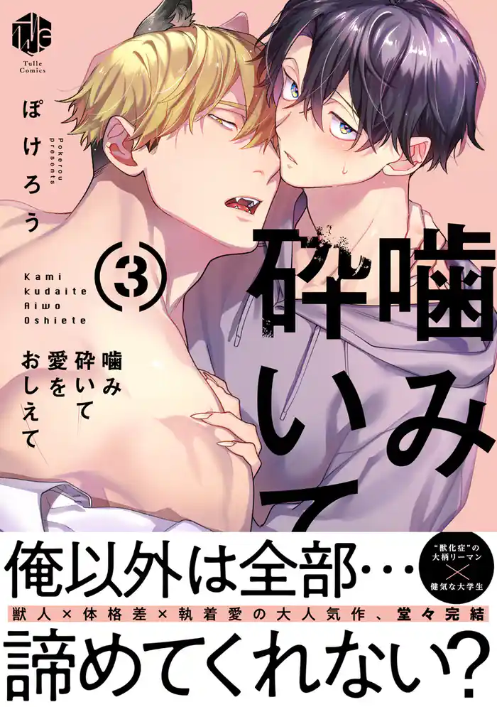 噛み砕いて愛をおしえて 3【コミックス版】