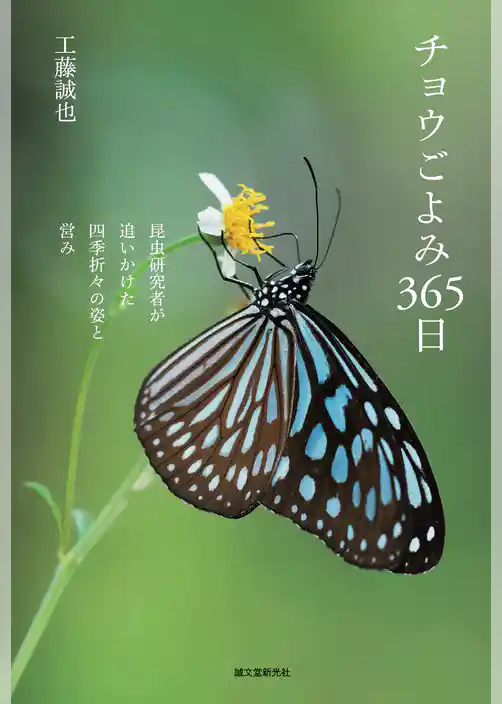 チョウごよみ365日：昆虫研究者が追いかけた四季折々の姿と営み