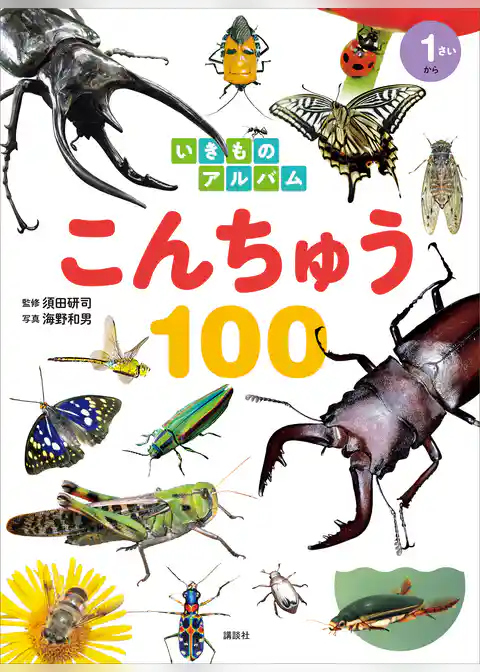 いきものアルバム　こんちゅう１００