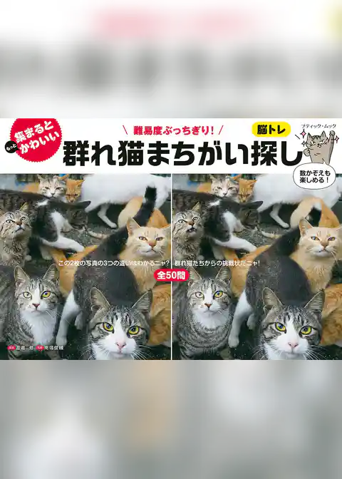 群れ猫まちがい探し