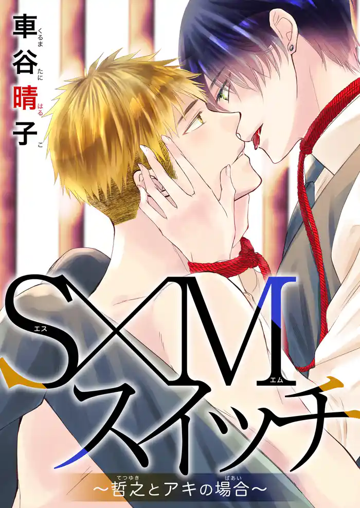 S×Mスイッチ~哲之とアキの場合~