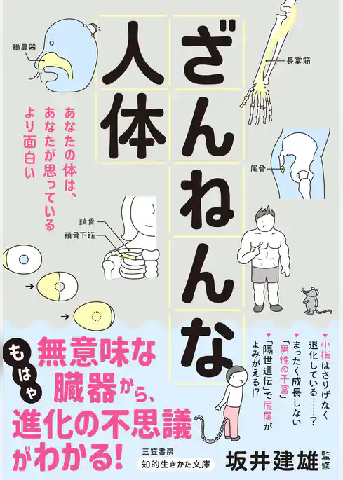 ざんねんな人体