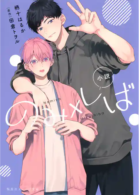 小説　のみ×しば