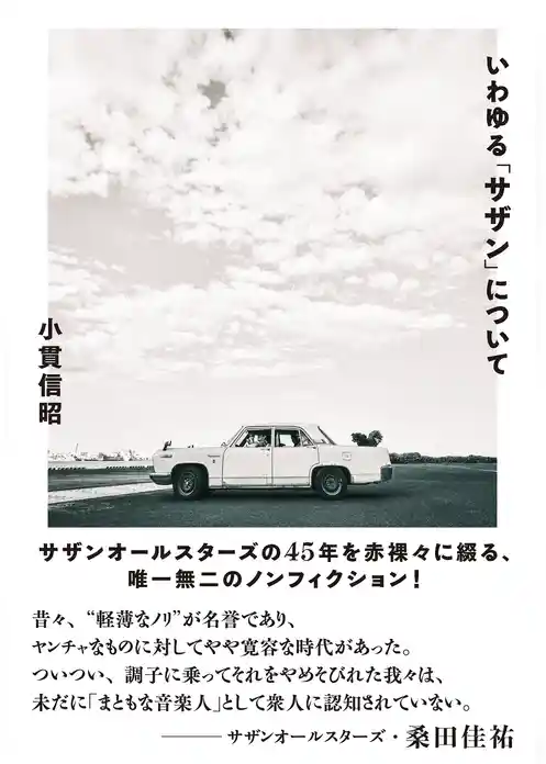 いわゆる「サザン」について