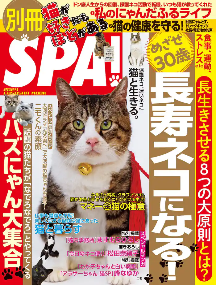 別冊SPA!猫が好きにもほどがある