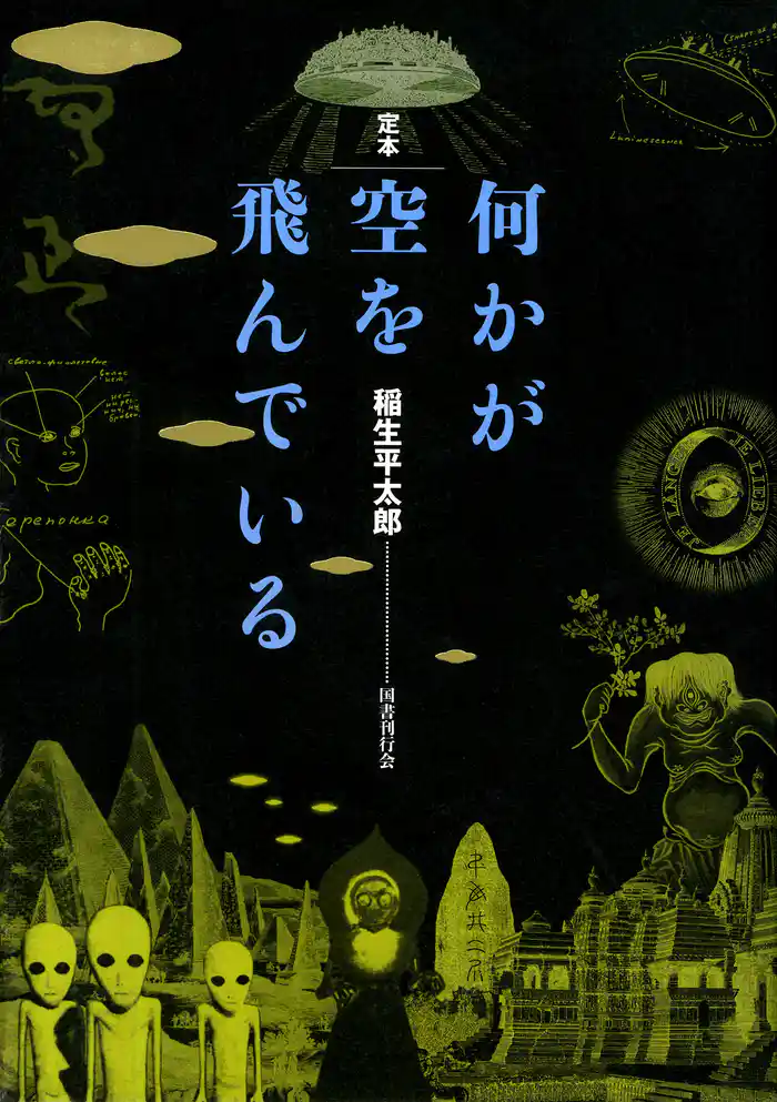 何かが空を飛んでいる