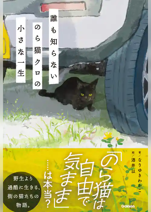 誰も知らない のら猫クロの小さな一生