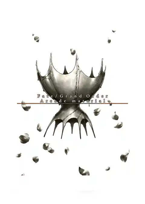 Fate/Grand Order Arcade material