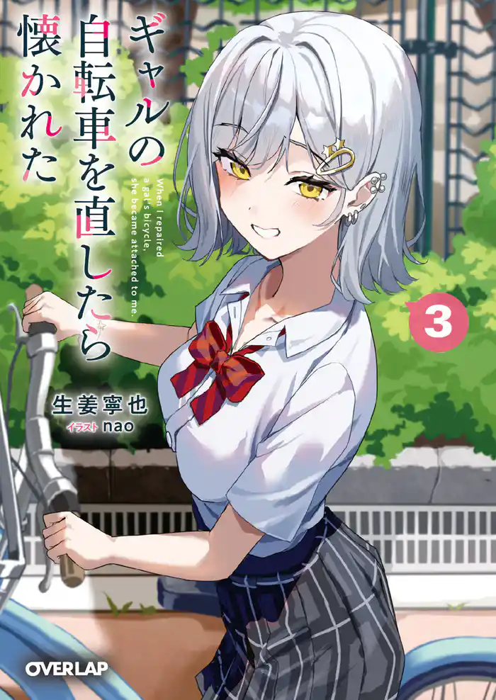 ギャルの自転車を直したら懐かれた 3