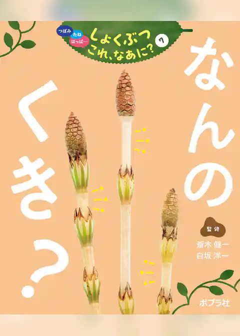 つぼみ・たね・はっぱ・・・　しょくぶつ　これ、なあに？