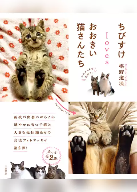 ちびすけlovesおおきい猫さんたち