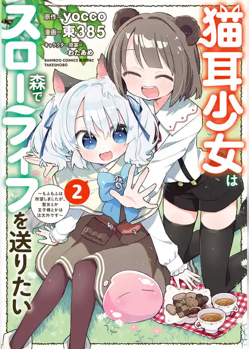 猫耳少女は森でスローライフを送りたい ～もふもふは所望しましたが、聖女とか王子様とかは注文外です～