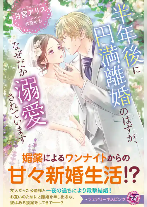 半年後に円満離婚のはずが、なぜだか溺愛されています【特典SS付】【イラスト付】