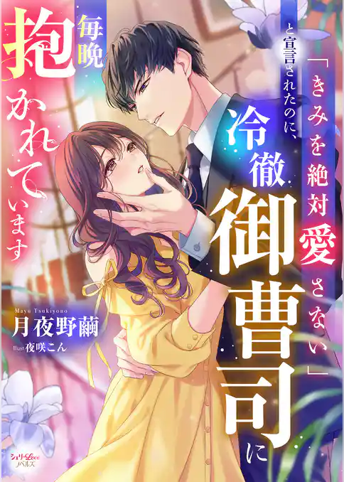 「きみを絶対愛さない」と宣言されたのに、冷徹御曹司に毎晩抱かれています