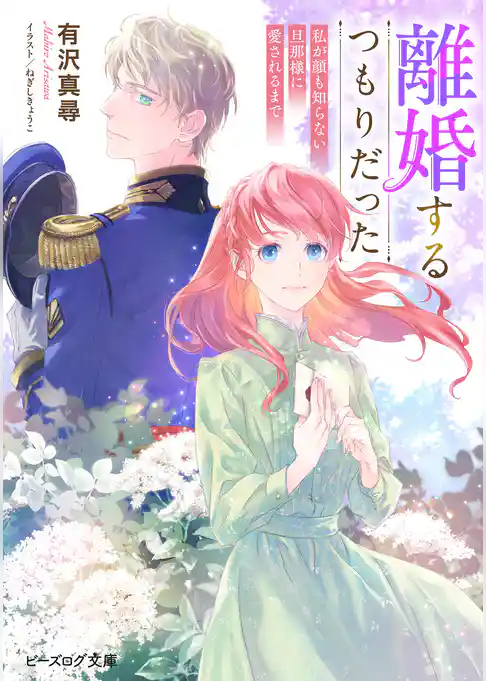 離婚するつもりだった