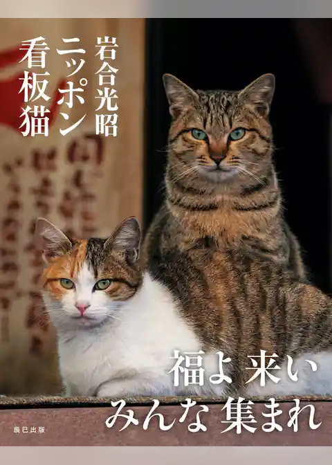 岩合光昭 ニッポン看板猫
