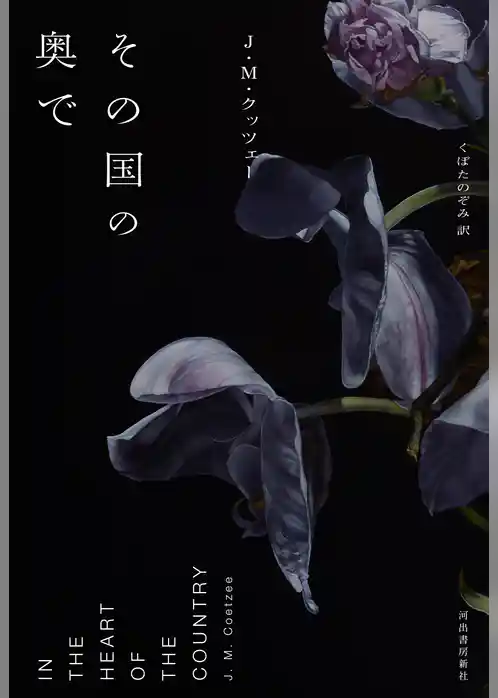 その国の奥で