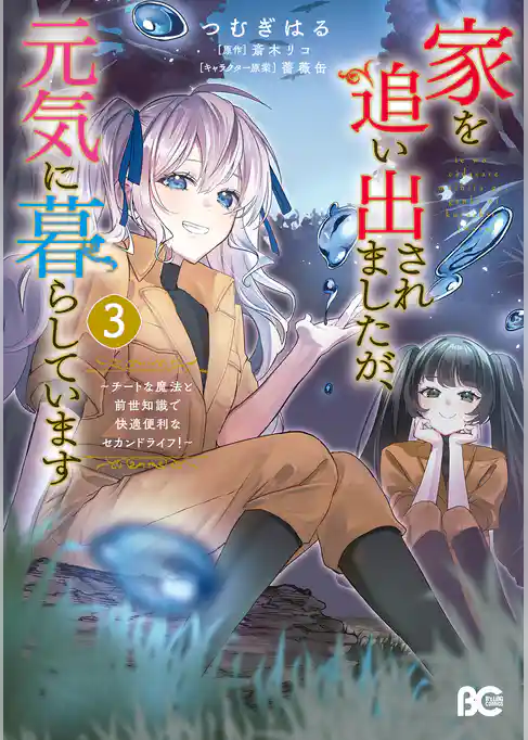家を追い出されましたが、元気に暮らしています　～チートな魔法と前世知識で快適便利なセカンドライフ！～