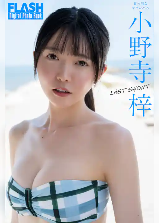 FLASHデジタル写真集　小野寺梓　LAST SHOUT