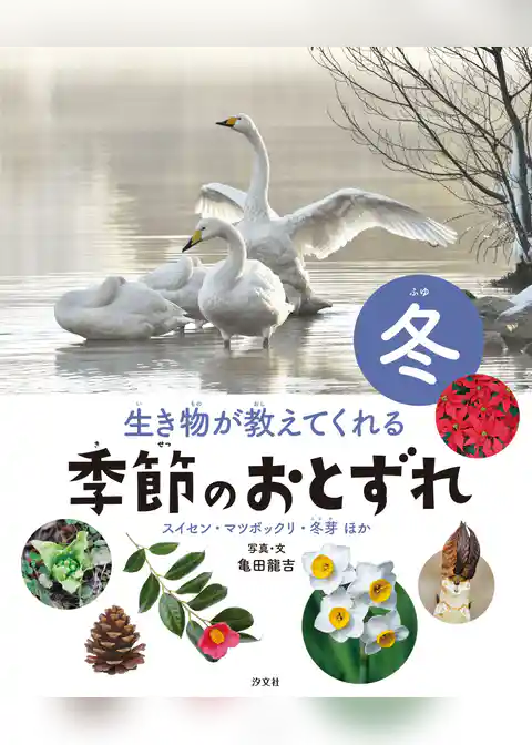 生き物が教えてくれる 季節のおとずれ