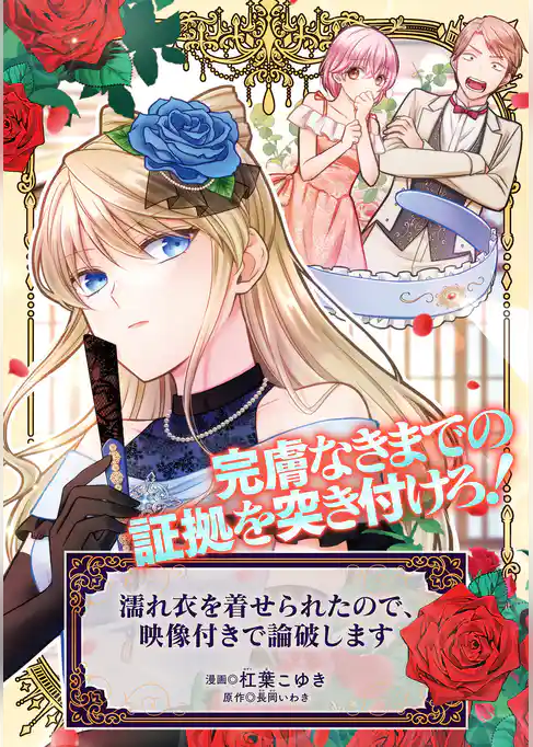 濡れ衣を着せられたので、映像付きで論破します