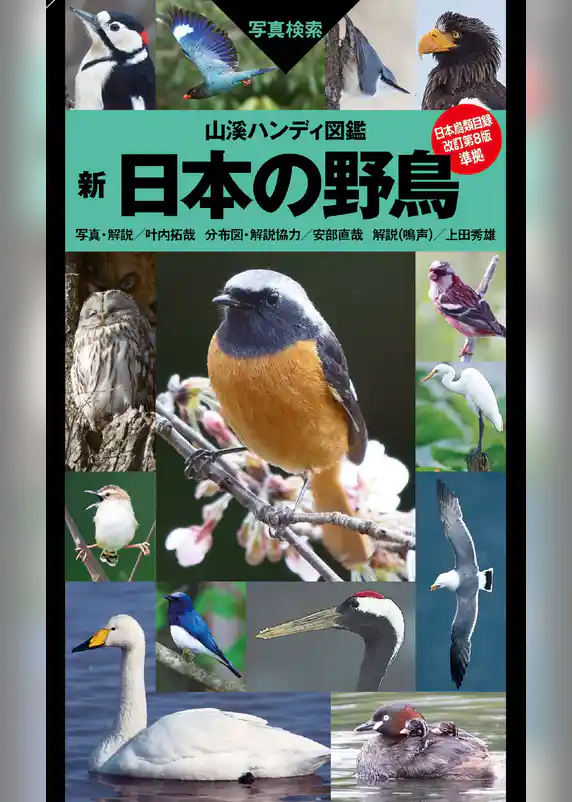 山溪ハンディ図鑑 新 日本の野鳥