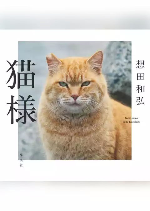 猫様