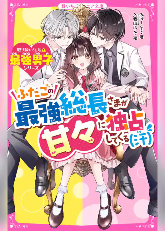 ふたごの最強総長さまが甘々に独占してくる（汗）【取り扱い注意⚠最強男子シリーズ】