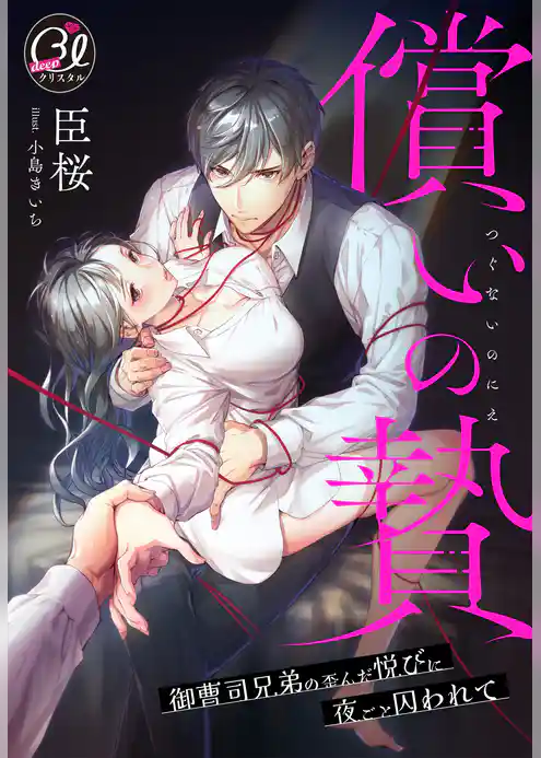 償いの贄～御曹司兄弟の歪んだ悦びに夜ごと囚われて～