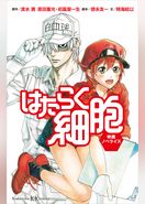 はたらく細胞　映画ノベライズ