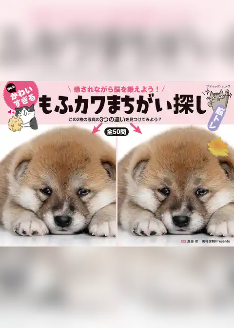 何ともかわいすぎる もふカワまちがい探し