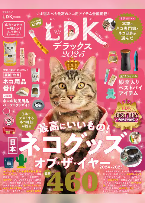 晋遊舎ムック　ネコDK デラックス 2025