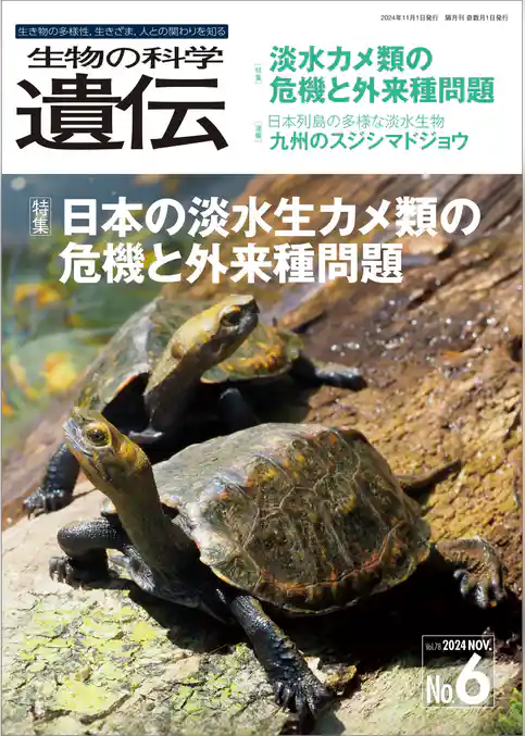 生物の科学 遺伝 2024年11月発行号 Vol.78 No.6