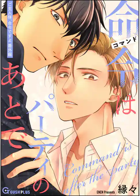 命令はパーティのあとで