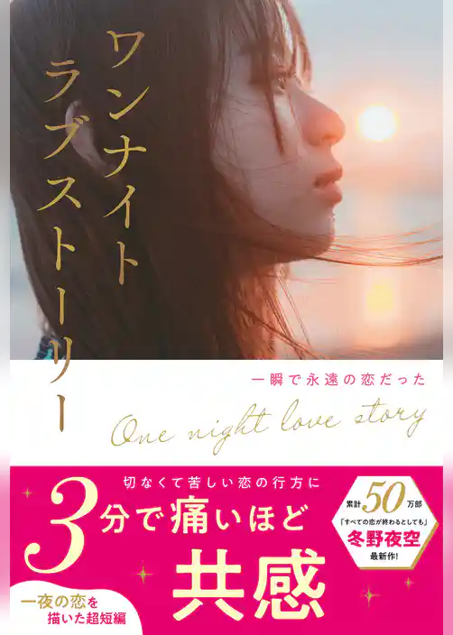 ワンナイトラブストーリー　一瞬で永遠の恋だった