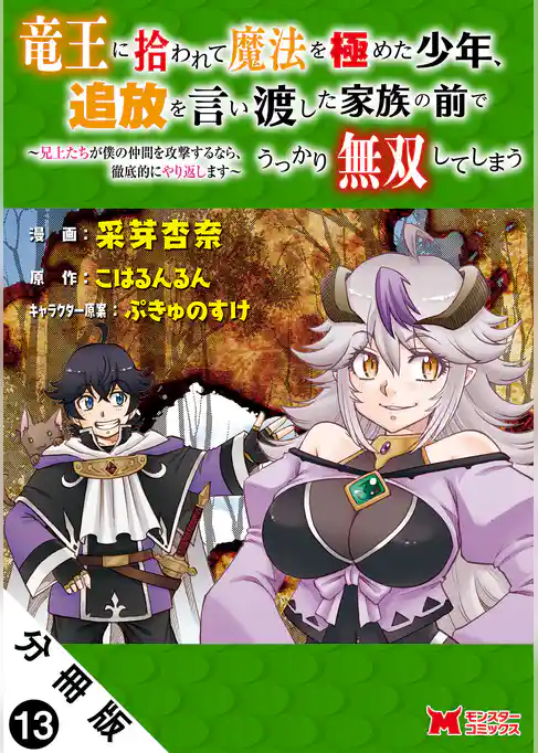 竜王に拾われて魔法を極めた少年、追放を言い渡した家族の前でうっかり無双してしまう～兄上たちが僕の仲間を攻撃するなら、徹底的にやり返します～（コミック） 分冊版