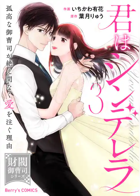 君はシンデレラ～孤高な御曹司が絶え間なく愛を注ぐ理由～【財閥御曹司シリーズ】