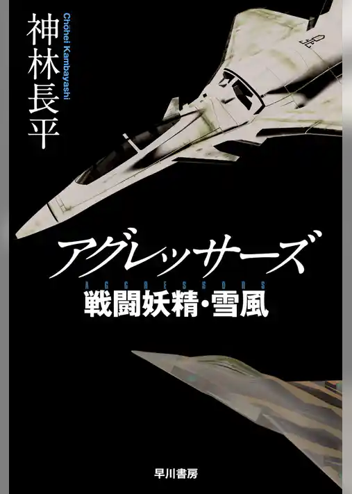 アグレッサーズ　戦闘妖精・雪風