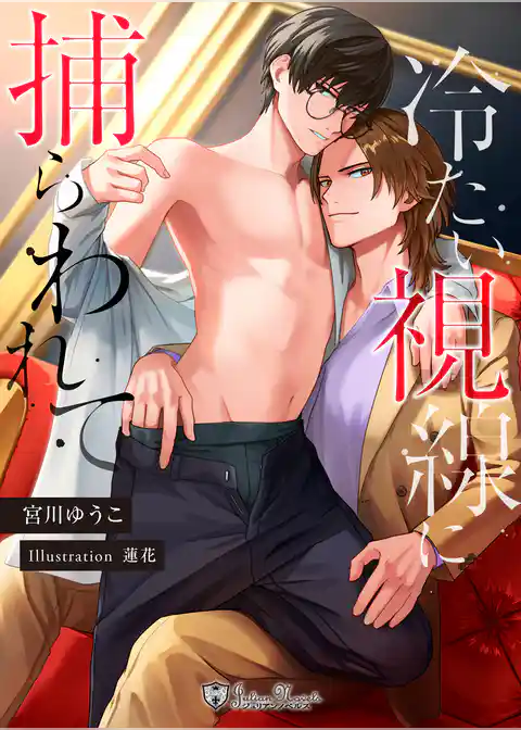 冷たい視線に捕らわれて＜新装版＞