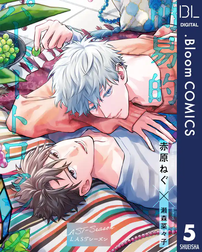 【単話売】簡易的パーバートロマンス LASTシーズン 5