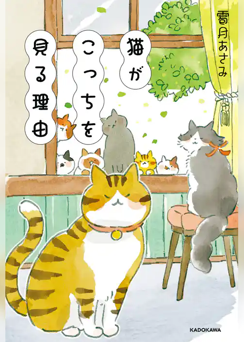 猫がこっちを見る理由