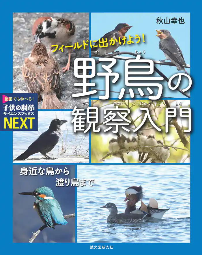 フィールドに出かけよう! 野鳥の観察入門:身近な鳥から渡り鳥まで