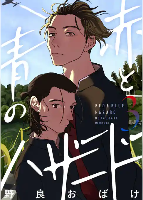 赤と青のハザード