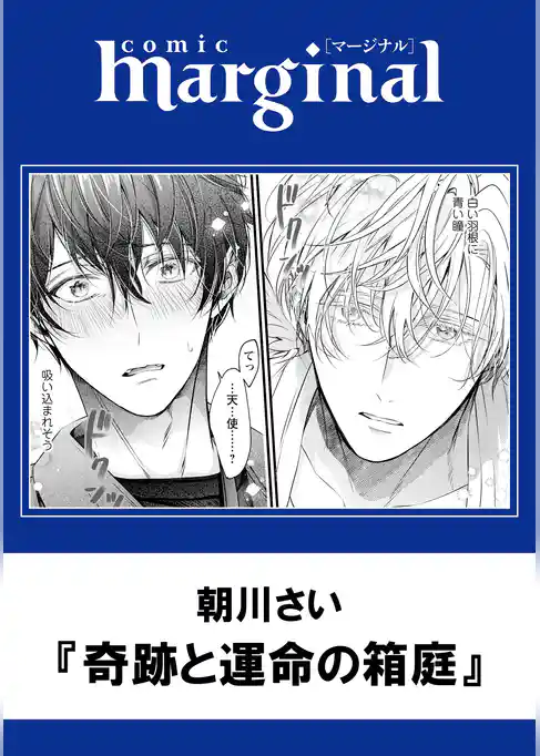 奇跡と運命の箱庭