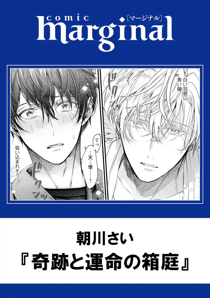 奇跡と運命の箱庭