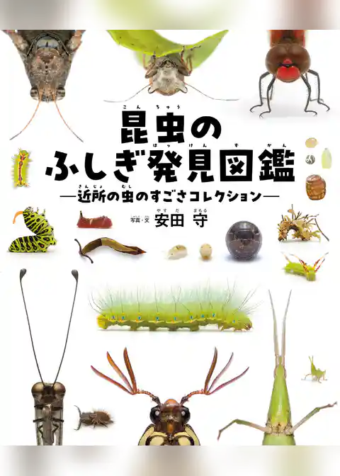 昆虫のふしぎ発見図鑑 近所の虫のすごさコレクション