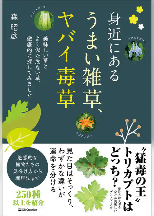 身近にある うまい雑草、ヤバイ毒草　美味しい草とよく似た危ない草、徹底的に探してみました