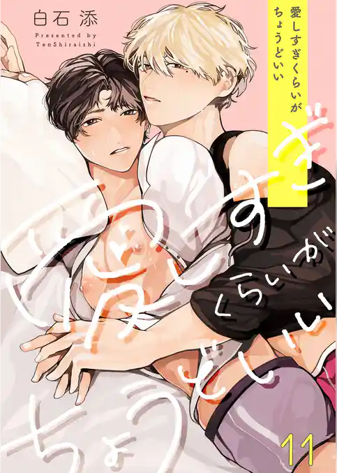 愛しすぎくらいがちょうどいい１１