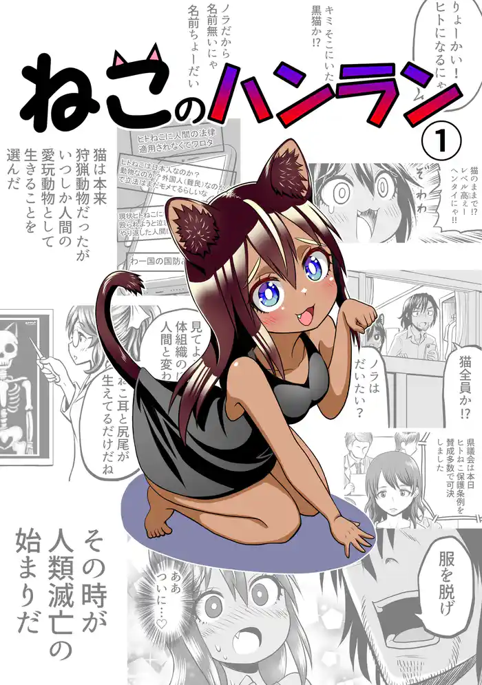 ねこのハンラン 1巻