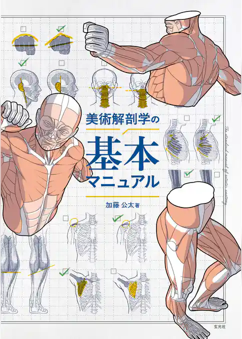 美術解剖学の基本マニュアル
